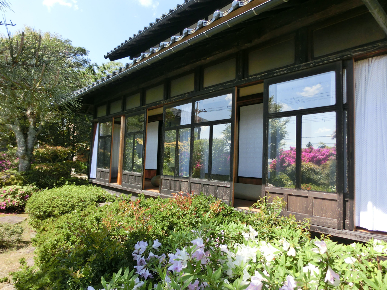 庭01_CIMG3762